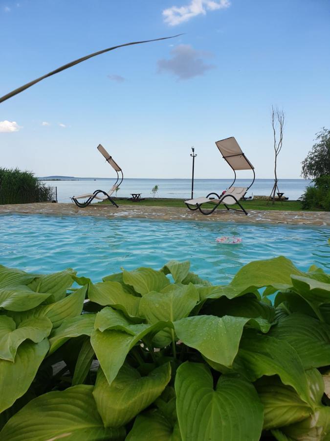 Hotel Poarta Apelor Sarichioi Zewnętrze zdjęcie