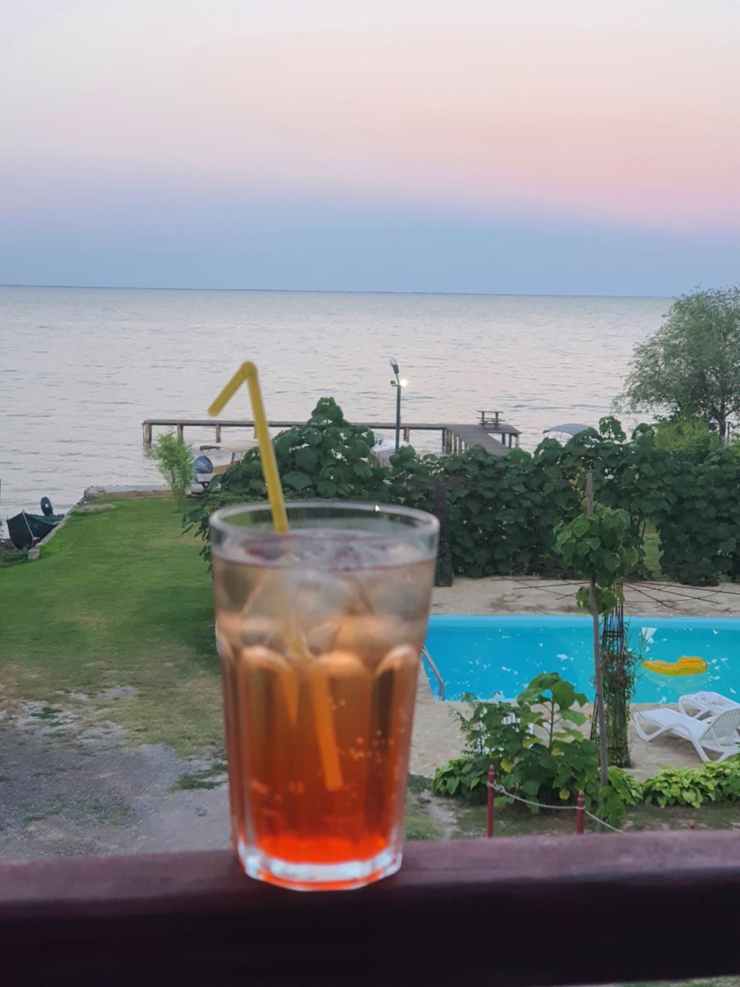 Hotel Poarta Apelor Sarichioi Zewnętrze zdjęcie